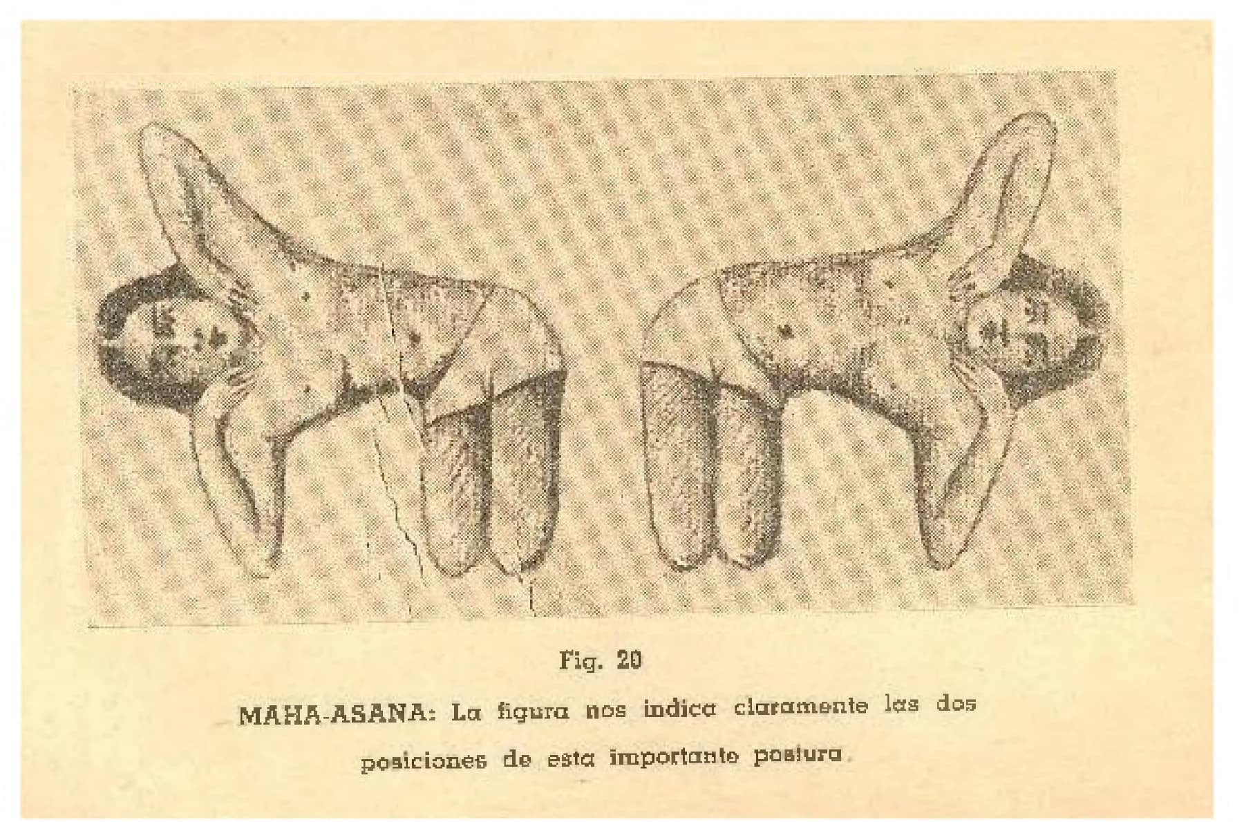 Fig. 20: las dos posiciones de la «Maha-Asana», dibujadas a carboncillo e impresas cabeza contra cabeza en página apaisada; cuarta lámina de asanas que sobrevive.