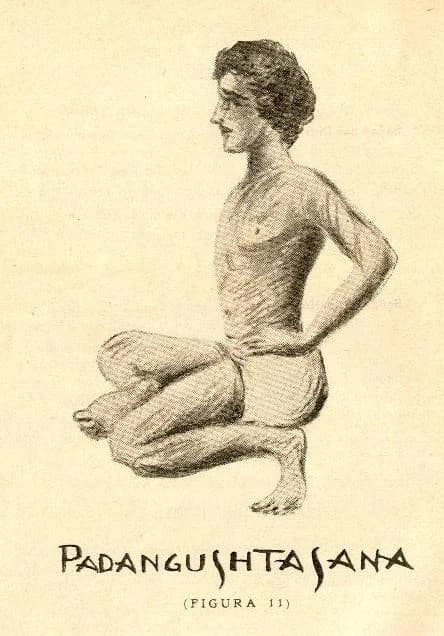 PADANGUSHTASANA (Figura 11): a seated balance on the toes, the practitioner drawn in profile with hands at the hips — plate to Asuri Kapila's Progressive Course of Asana Yoga.