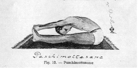 Fig. 10 — Paschimottanasana, the seated forward bend described at length in this number: the legs extended, the great toes grasped, the forehead brought to the knees.