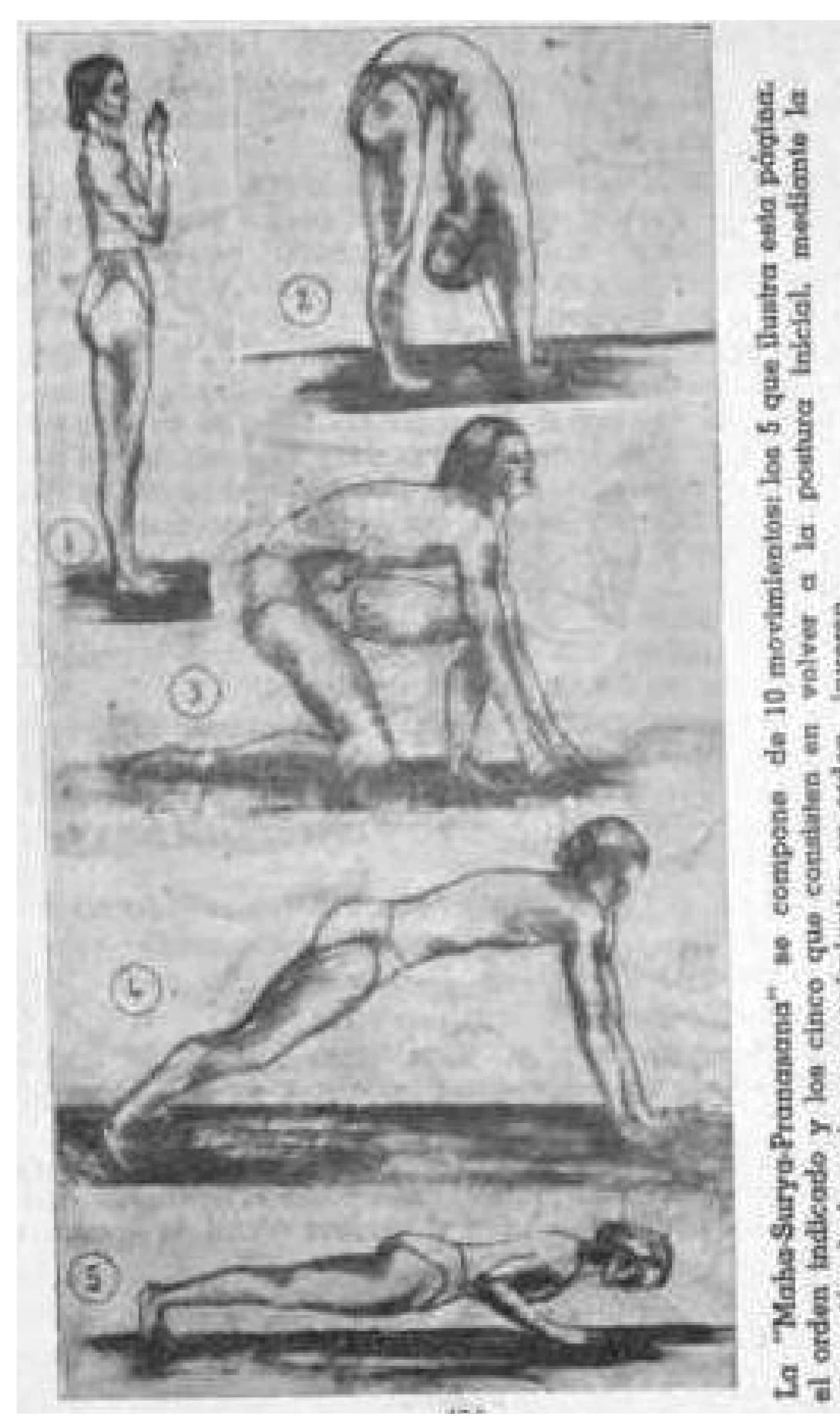 The first five positions of the "Maha-Surya-Pranasana", drawn in charcoal, numbered 1–5 from standing to prone; the other five repeat the same movements in reverse order. The printed caption runs sideways beside the figures, as it was set.