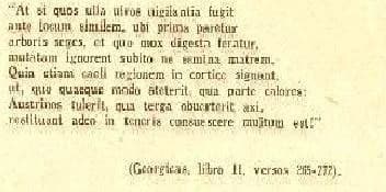 A block of Latin verse set apart on the page — Virgil, Georgics II, quoted in the body of the article.
