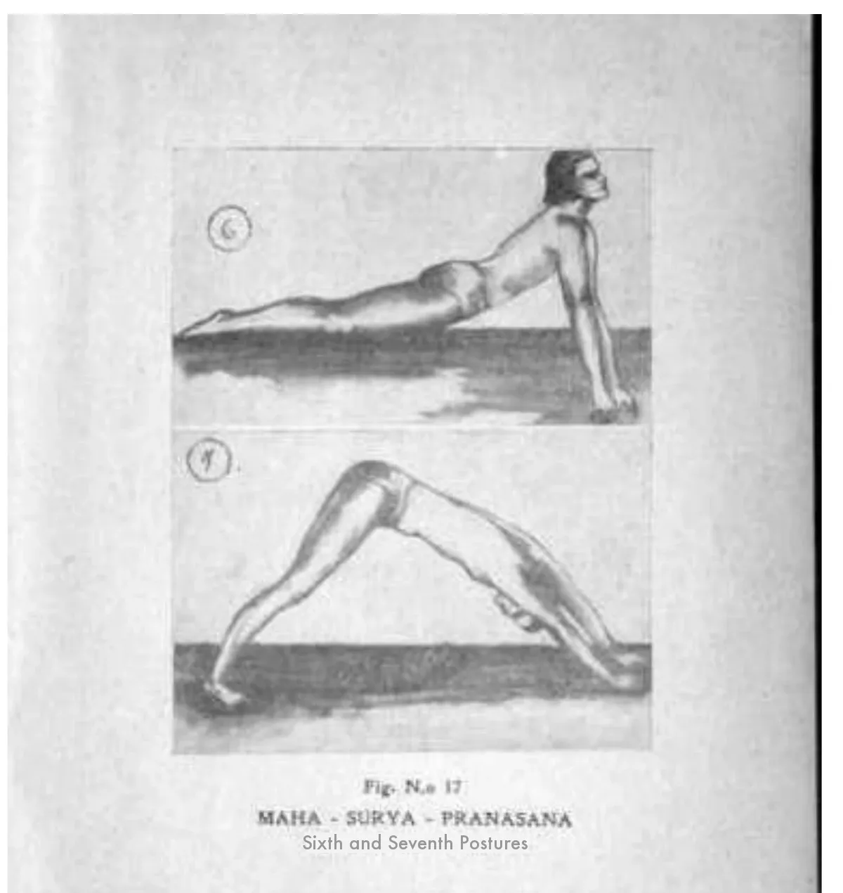 Fig. No. 17: the sixth and seventh postures of the "Maha-Surya-Pranasana" — the serpent and the mountain — drawn in charcoal; the second surviving asana plate.