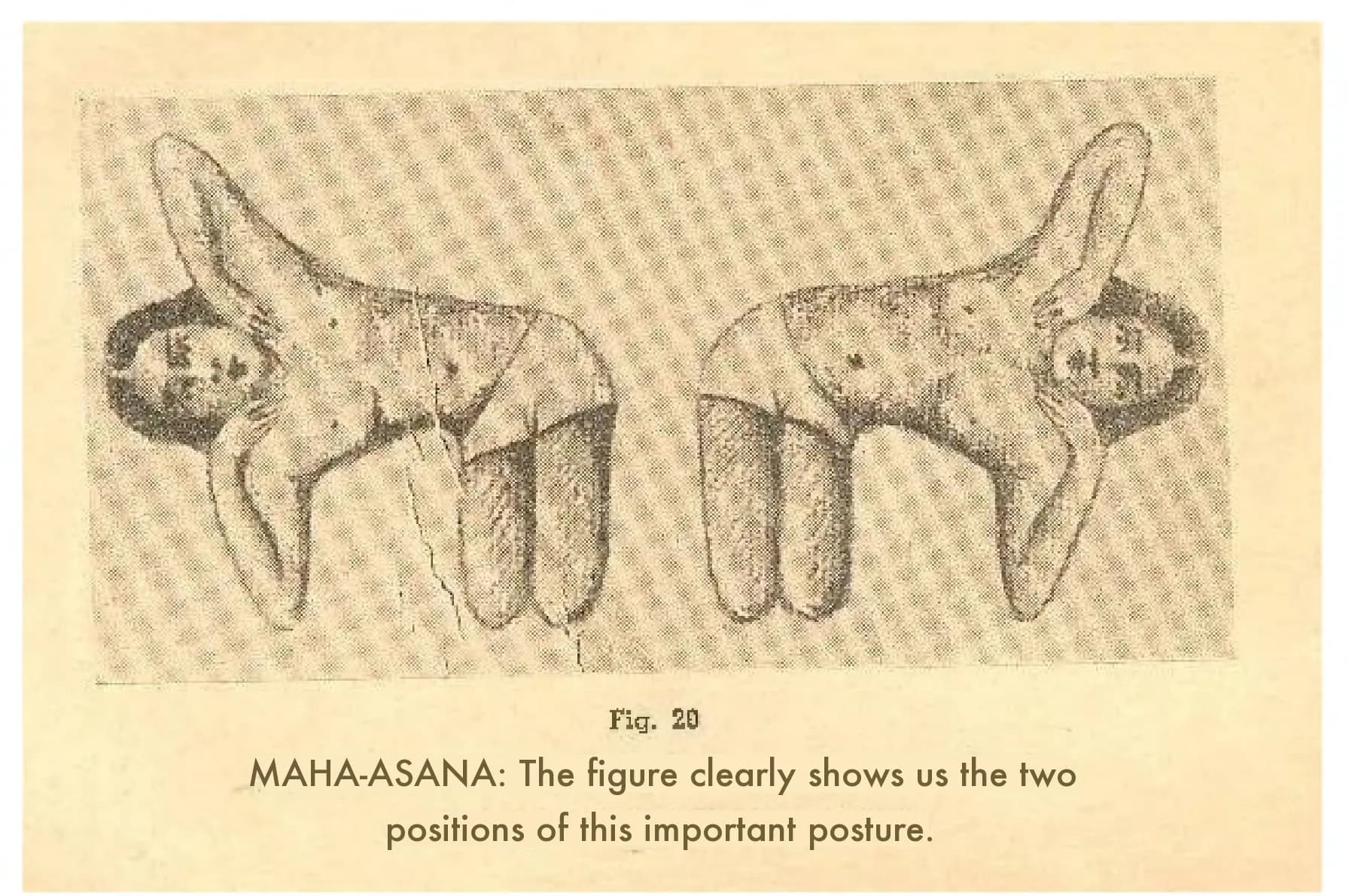 Fig. 20: the two positions of the "Maha-Asana", drawn in charcoal and printed head-to-head on the landscape page; the fourth surviving asana plate.